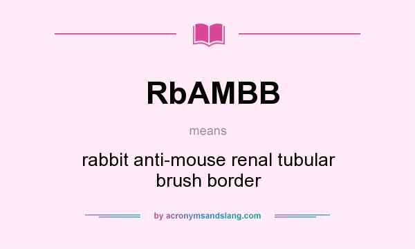 What does RbAMBB mean? It stands for rabbit anti-mouse renal tubular brush border
