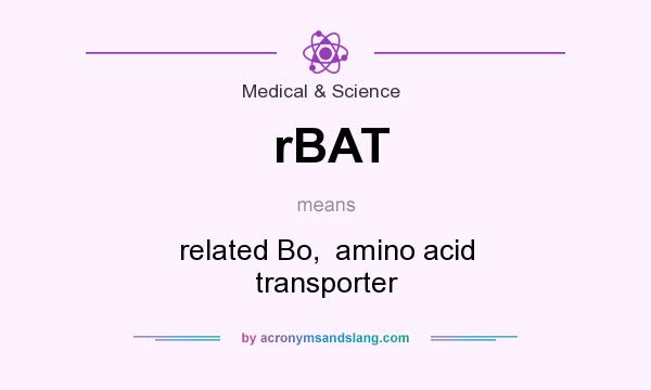 What does rBAT mean? It stands for related Bo,  amino acid transporter