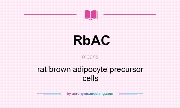 What does RbAC mean? It stands for rat brown adipocyte precursor cells