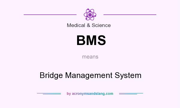 What does BMS mean? It stands for Bridge Management System