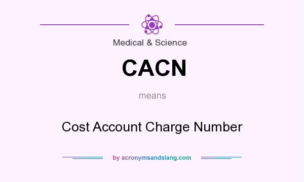 What does CACN mean? It stands for Cost Account Charge Number