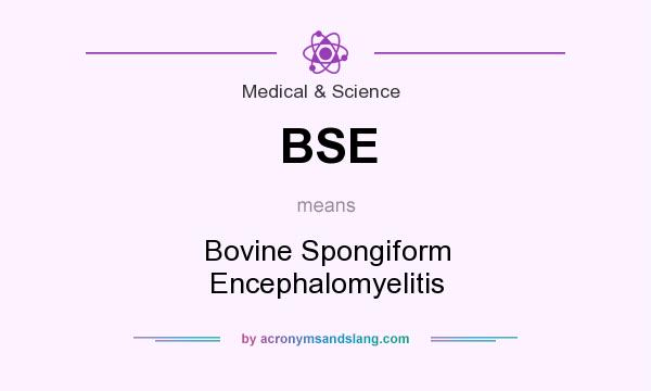 What does BSE mean? It stands for Bovine Spongiform Encephalomyelitis
