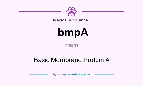 What does bmpA mean? It stands for Basic Membrane Protein A