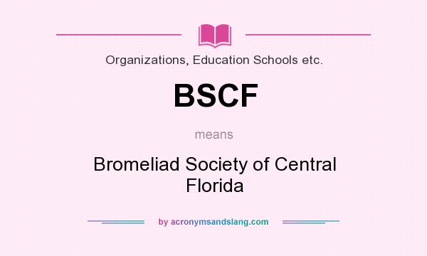 What does BSCF mean? It stands for Bromeliad Society of Central Florida