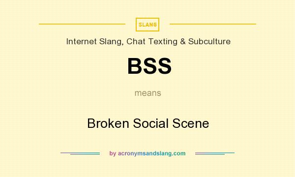 What does BSS mean? It stands for Broken Social Scene