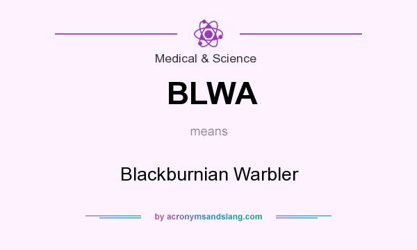 What does BLWA mean? It stands for Blackburnian Warbler