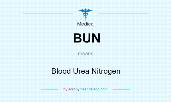 What does BUN mean? It stands for Blood Urea Nitrogen