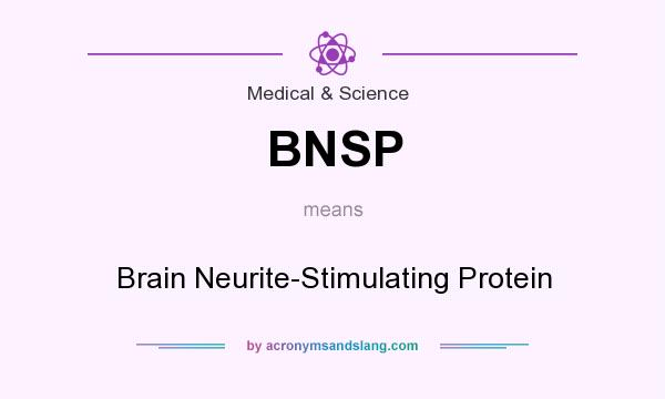 What does BNSP mean? It stands for Brain Neurite-Stimulating Protein