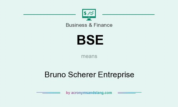 What does BSE mean? It stands for Bruno Scherer Entreprise