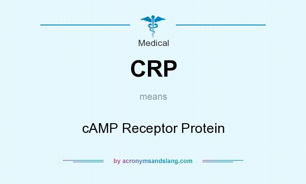 What does CRP mean? It stands for cAMP Receptor Protein