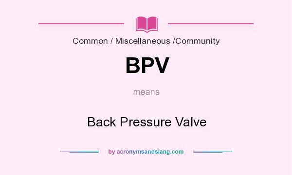 What does BPV mean? It stands for Back Pressure Valve