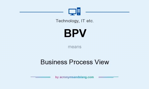 What does BPV mean? It stands for Business Process View