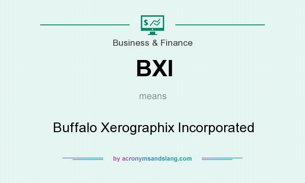 What does BXI mean? It stands for Buffalo Xerographix Incorporated
