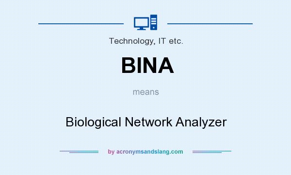 What does BINA mean? It stands for Biological Network Analyzer