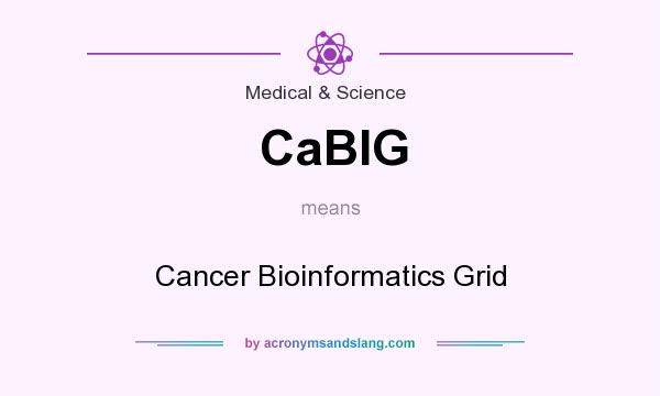 What does CaBIG mean? It stands for Cancer Bioinformatics Grid
