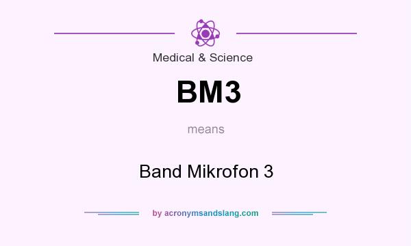 What does BM3 mean? It stands for Band Mikrofon 3