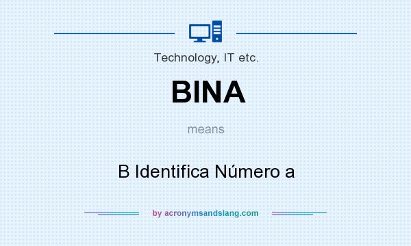 What does BINA mean? It stands for B Identifica Número a