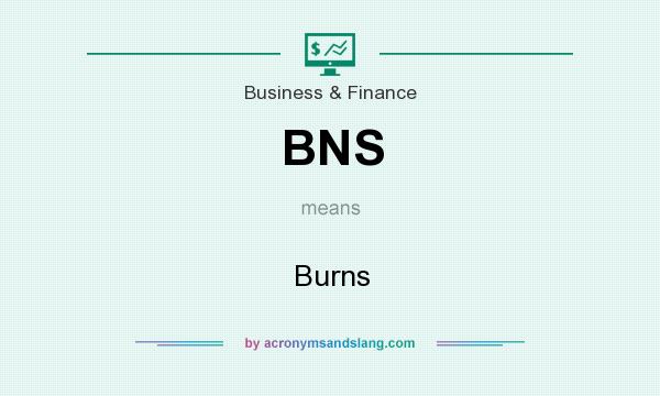 What does BNS mean? It stands for Burns