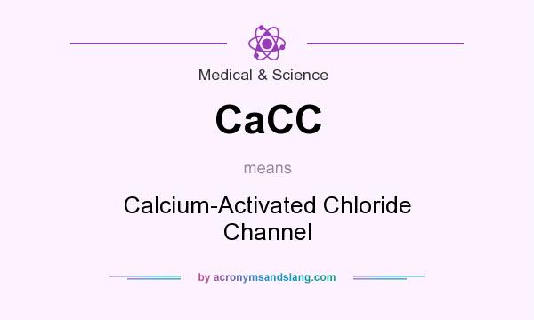 What does CaCC mean? It stands for Calcium-Activated Chloride Channel