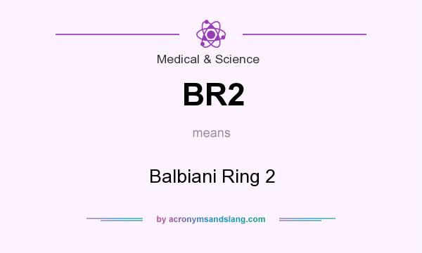 What does BR2 mean? It stands for Balbiani Ring 2