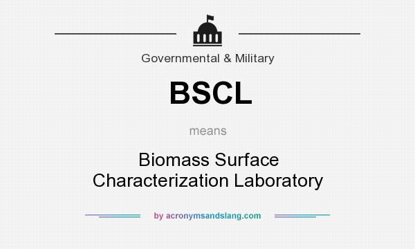 What does BSCL mean? It stands for Biomass Surface Characterization Laboratory