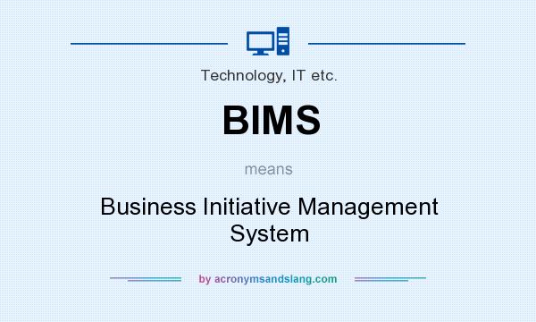 What does BIMS mean? It stands for Business Initiative Management System