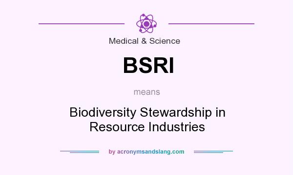 What does BSRI mean? It stands for Biodiversity Stewardship in Resource Industries