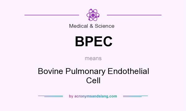 What does BPEC mean? It stands for Bovine Pulmonary Endothelial Cell