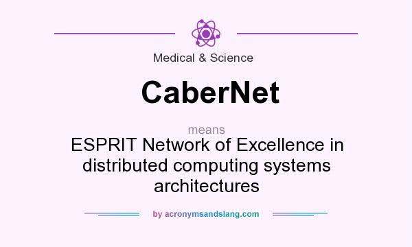 What does CaberNet mean? It stands for ESPRIT Network of Excellence in distributed computing systems architectures