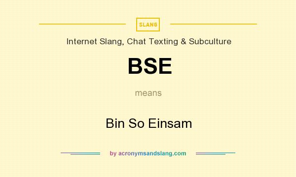 What does BSE mean? It stands for Bin So Einsam