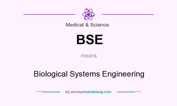 What does BSE mean? It stands for Biological Systems Engineering