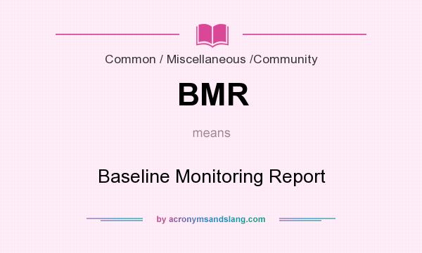 What does BMR mean? It stands for Baseline Monitoring Report