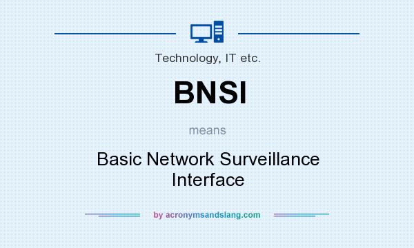 What does BNSI mean? It stands for Basic Network Surveillance Interface