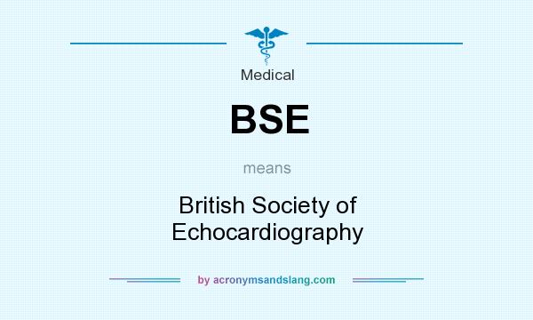 What does BSE mean? It stands for British Society of Echocardiography