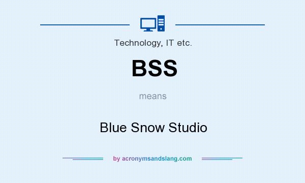 What does BSS mean? It stands for Blue Snow Studio