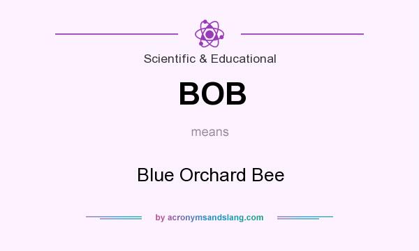 What does BOB mean? It stands for Blue Orchard Bee