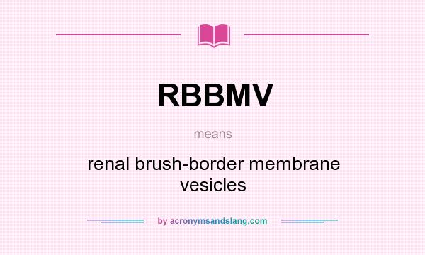 What does RBBMV mean? It stands for renal brush-border membrane vesicles