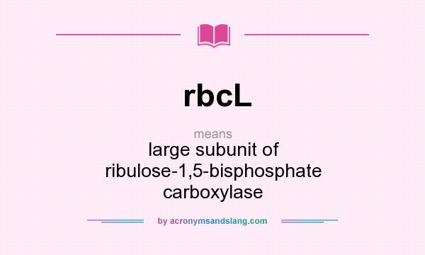 What does rbcL mean? It stands for large subunit of ribulose-1,5-bisphosphate carboxylase