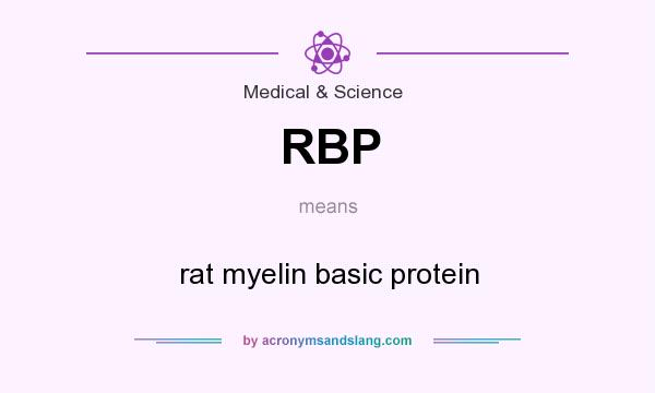 What does RBP mean? It stands for rat myelin basic protein