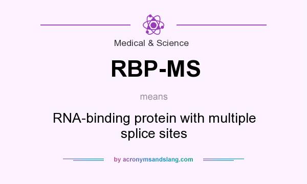 What does RBP-MS mean? It stands for RNA-binding protein with multiple splice sites