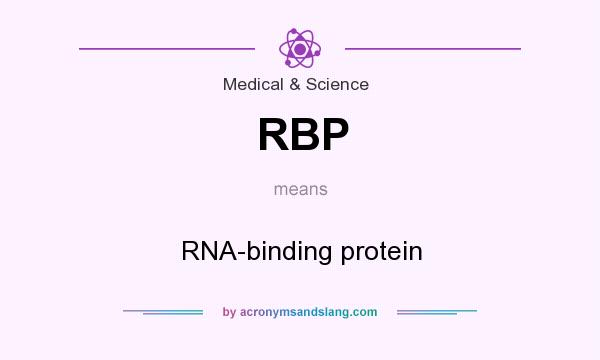 What does RBP mean? It stands for RNA-binding protein