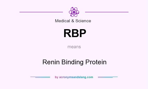 What does RBP mean? It stands for Renin Binding Protein