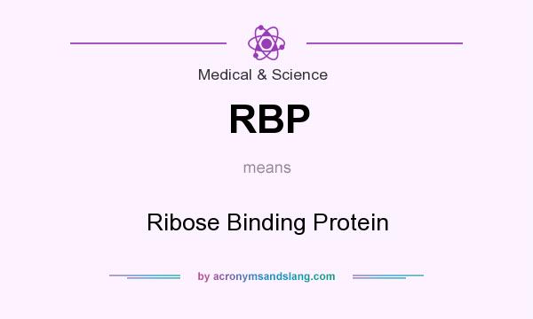 What does RBP mean? It stands for Ribose Binding Protein