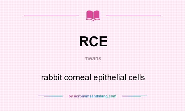 What does RCE mean? It stands for rabbit corneal epithelial cells