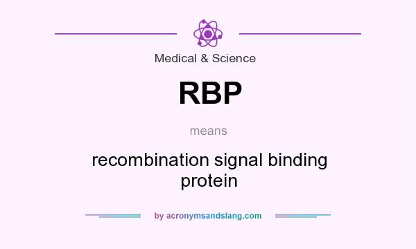 What does RBP mean? It stands for recombination signal binding protein