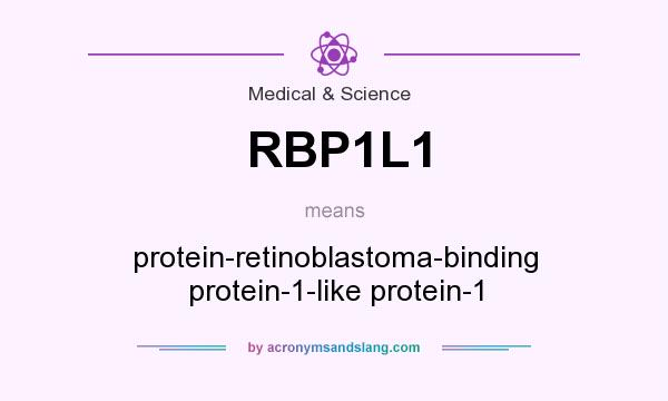 What does RBP1L1 mean? It stands for protein-retinoblastoma-binding protein-1-like protein-1