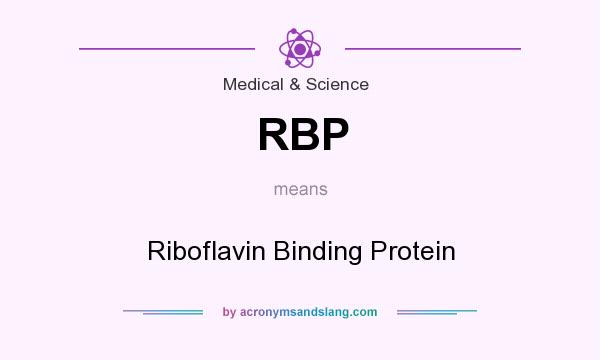 What does RBP mean? It stands for Riboflavin Binding Protein