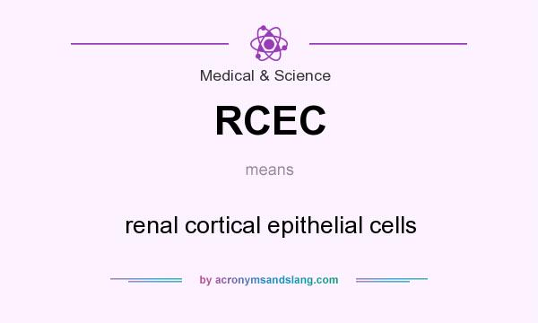 What does RCEC mean? It stands for renal cortical epithelial cells