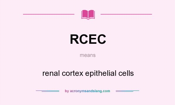 What does RCEC mean? It stands for renal cortex epithelial cells