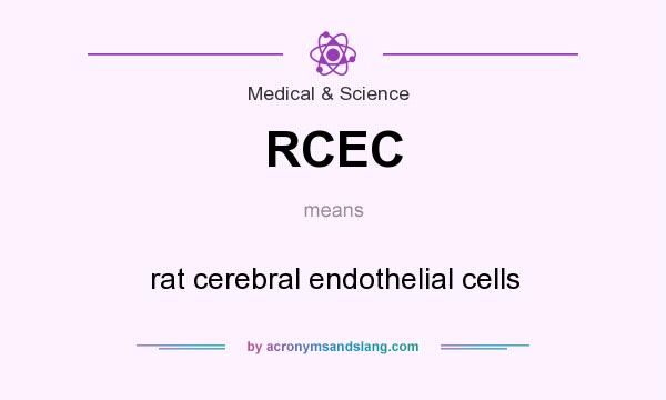 What does RCEC mean? It stands for rat cerebral endothelial cells